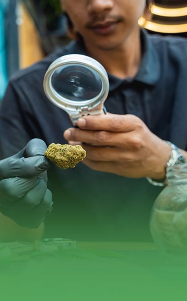 leafy-cabinet-industry-outlook-graphic