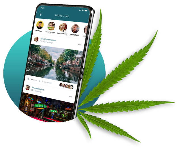 Persona_Circle_Leaf2 Persona_Circle_Leaf2