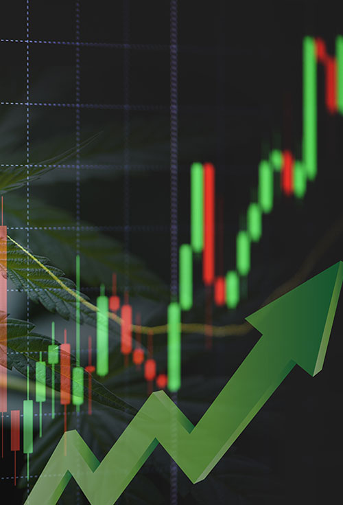 leafy-cabinet-news-alerts-signup-image leafy-cabinet-news-alerts-signup-image